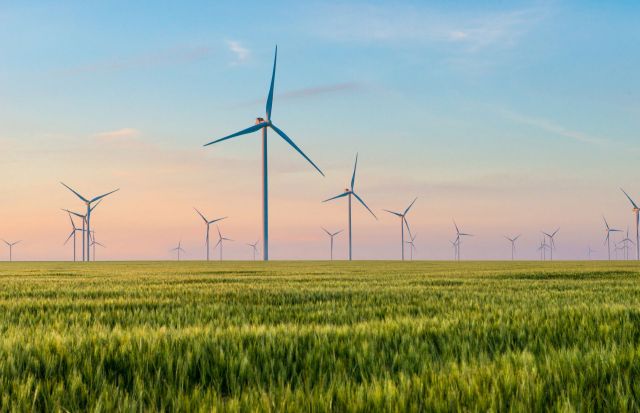 Wind turbines on farmland.