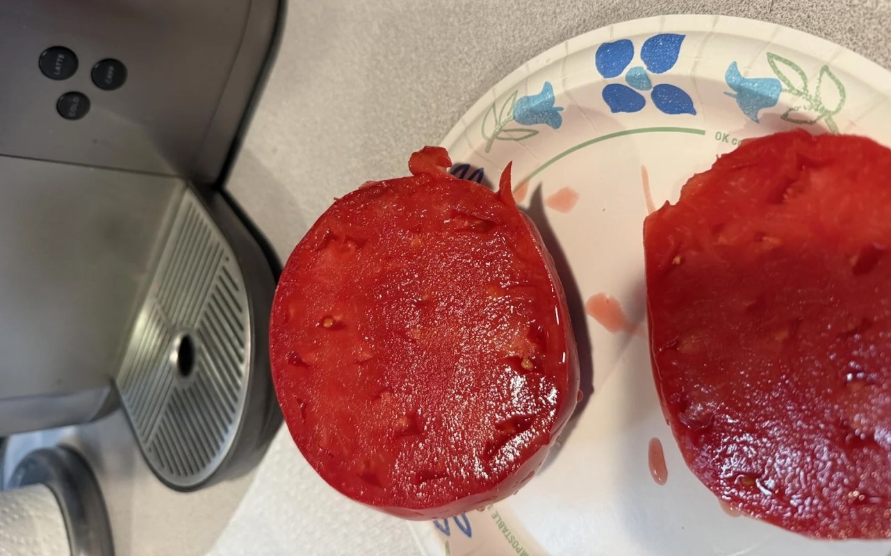 Two sliced, bright red circular tomato pieces on a paper plate, with a kitchen appliance partially visible in the background.