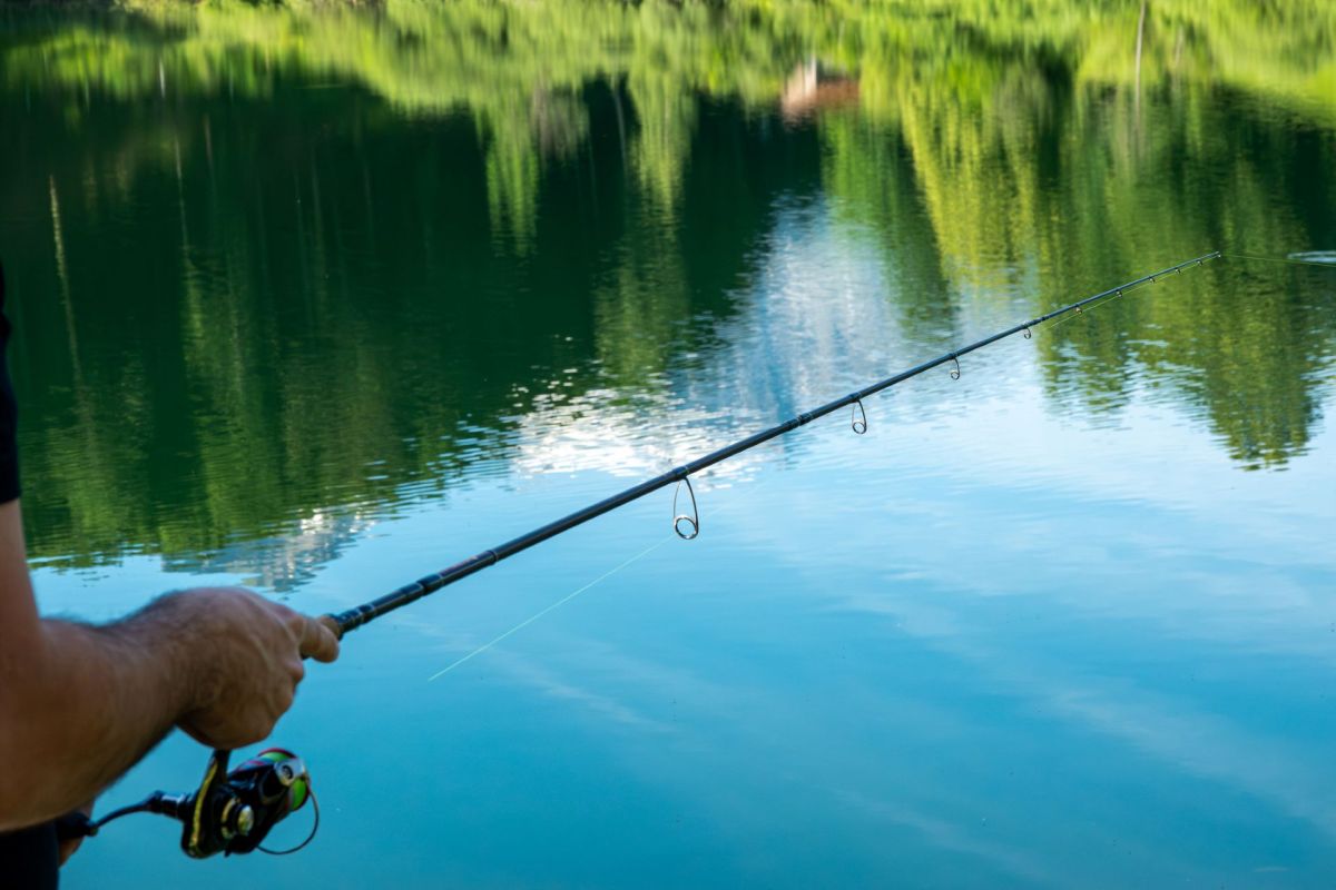 A person holding a fishing rod over water.