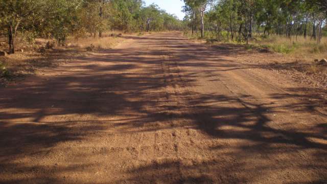 A dirt road stretches through a sparse, sunlit landscape surrounded by trees and dry grass.