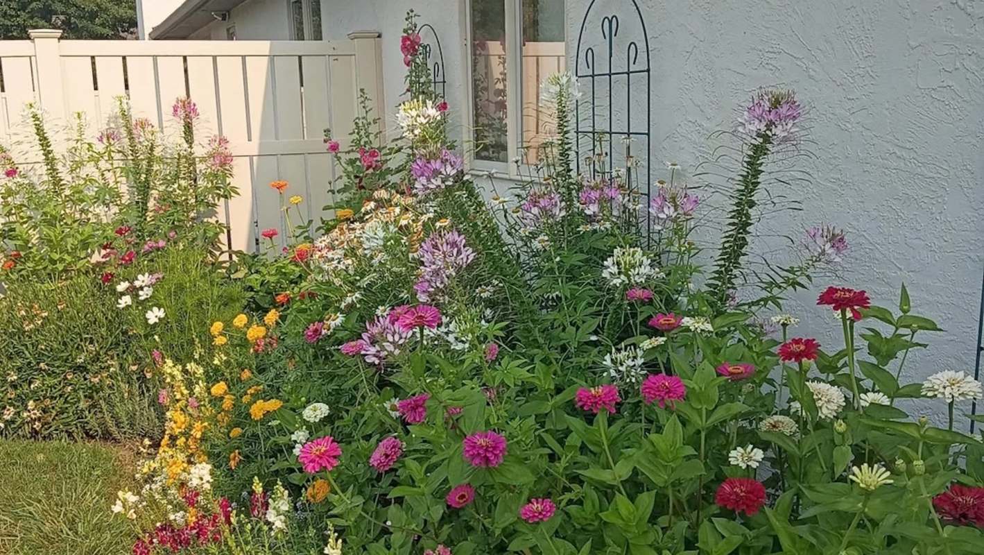 A colorful garden filled with a variety of blooming flowers beside a white fence and house wall.