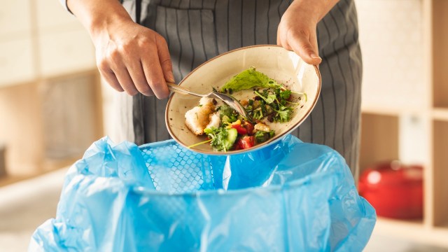 A person holding a plate of food over a blue trash bag.
