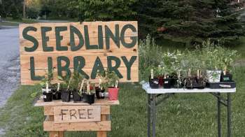 A wooden sign reads "Seedling Library" with potted plants on a table labeled "Free" in a grassy area.