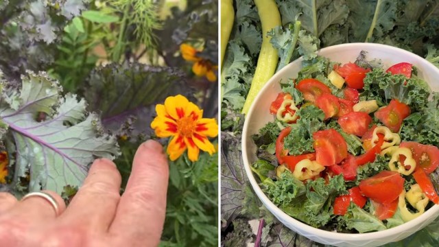 A hand gently touching a French marigold and a bowel of fresh salad.