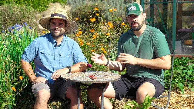 Two men sit at a table in a garden filled with colorful flowers, discussing and gesturing animatedly.