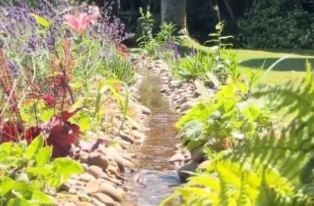 A stream in a garden.