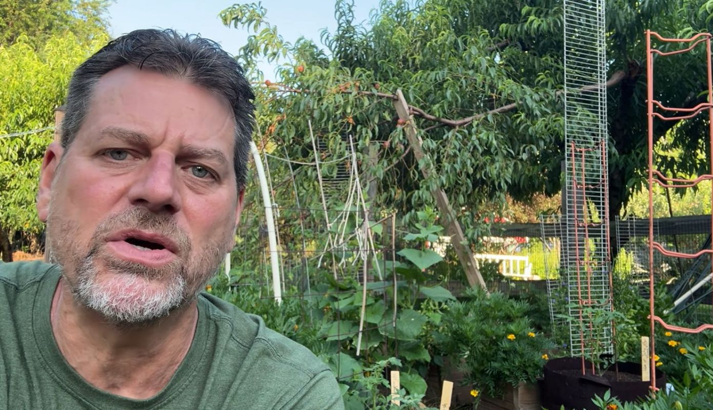 A man in a garden with trellises.