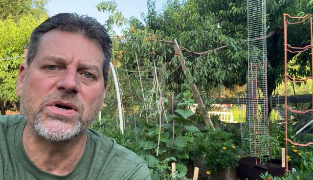 A man in a garden with trellises.