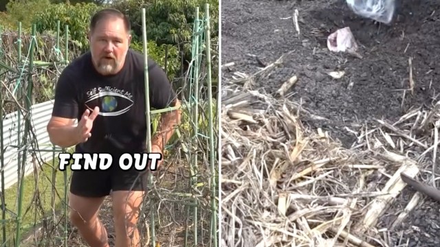 A man gestures toward the camera in a garden surrounded by vines and plants, with text overlay saying "FIND OUT".