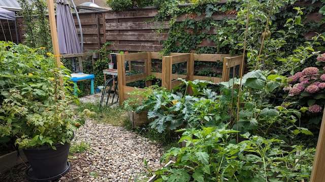 A garden.