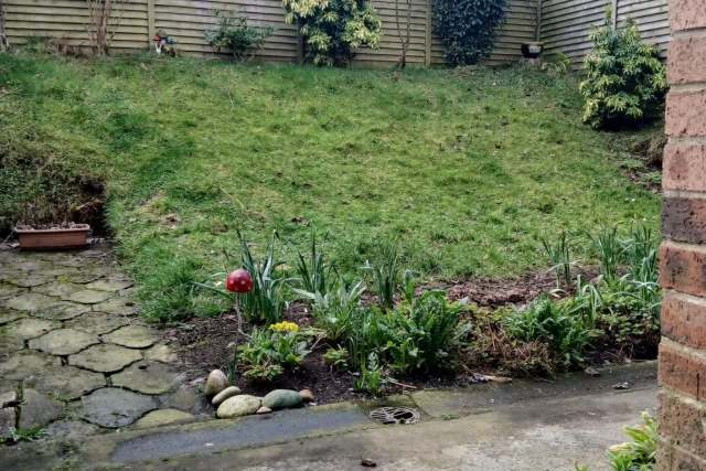 A grassy hill in the backyard.
