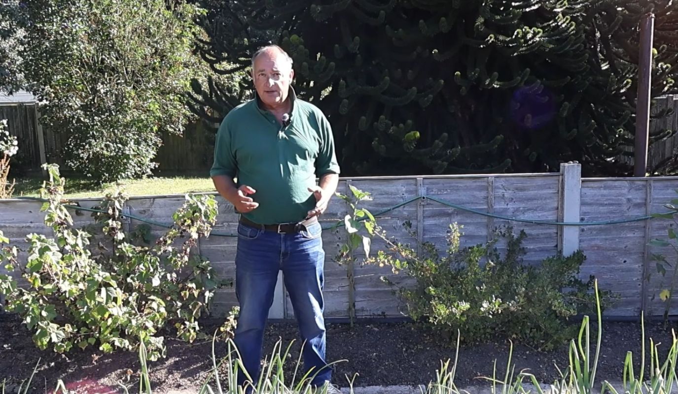 A man standing in a garden.