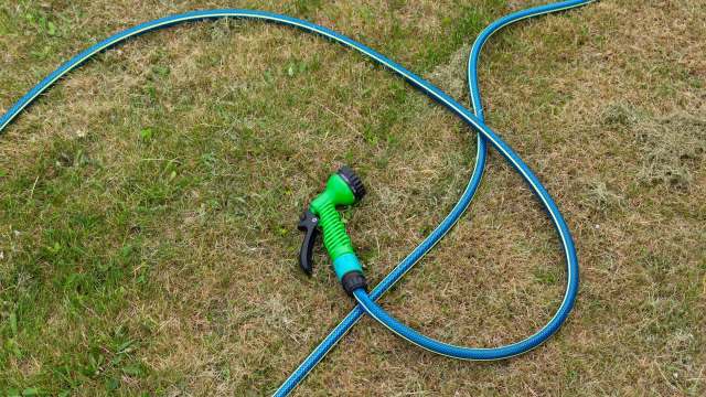 A green garden hose nozzle lies on a patch of brown grass, with a blue hose coiled around it.
