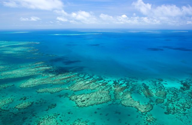 The Great Barrier Reef.
