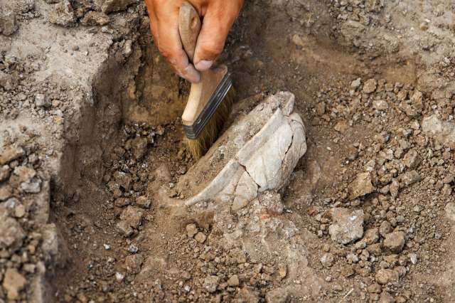An archaeological dig.