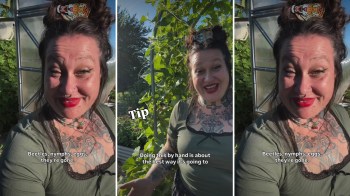 A gardener sharing tips for natural pest control.