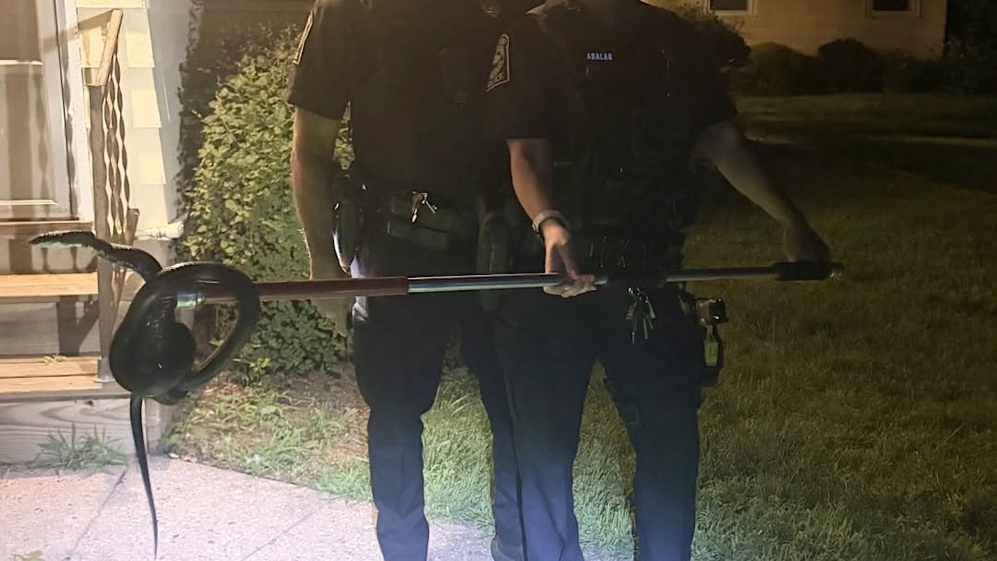 Granby Police Department catch a snake