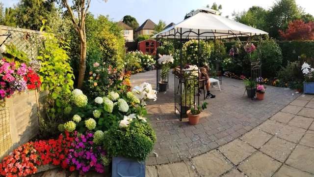 A garden with a variety of flowers and a gazebo.