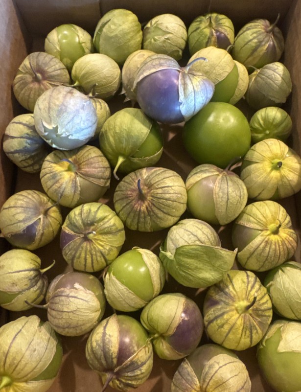 Green and purple tomatillos.