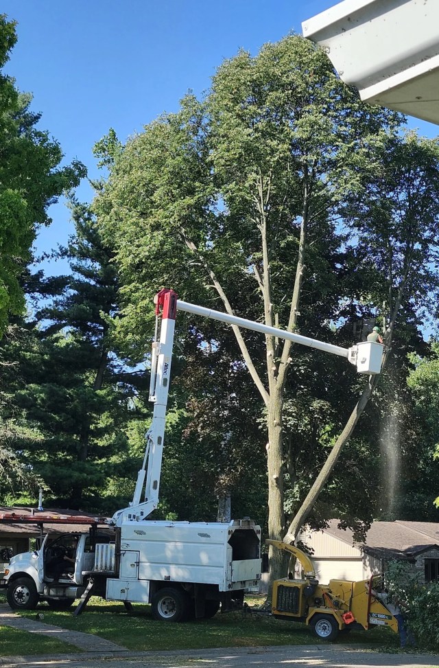 A tree service crew operating a chipper in a residential yard.
