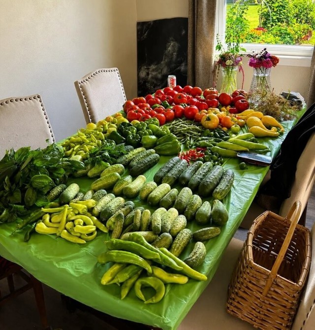 A colorful array of fresh vegetables including tomatoes, cucumbers, peppers, and green beans on a green tablecloth.