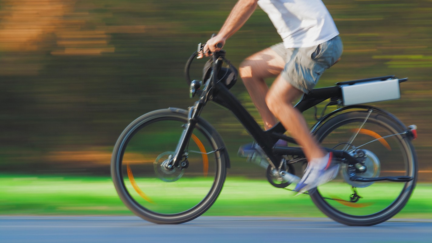 A person rides an electric bicycle on a path surrounded by greenery.