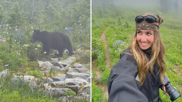 A bear walks through a field of flowers and rocks while being observed by a woman with a camera.