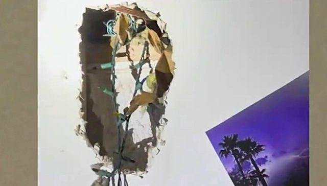 A hole in a bedroom wall with a nest inside.