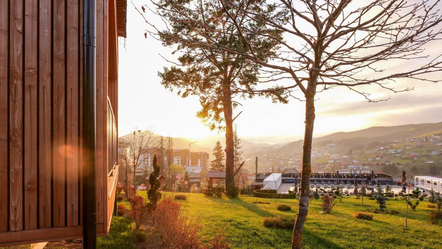 A warm sunset casts golden light over a lush hillside with trees and buildings in the distance.