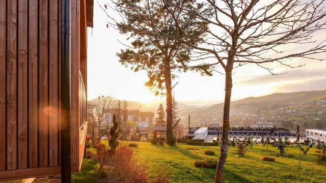 A warm sunset casts golden light over a lush hillside with trees and buildings in the distance.