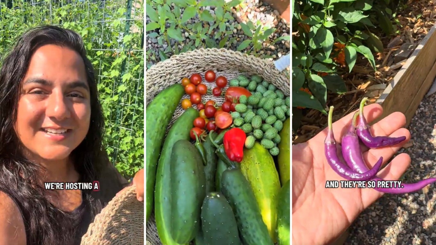 A person holds a basket of fresh vegetables, including cucumbers, tomatoes, and peppers.