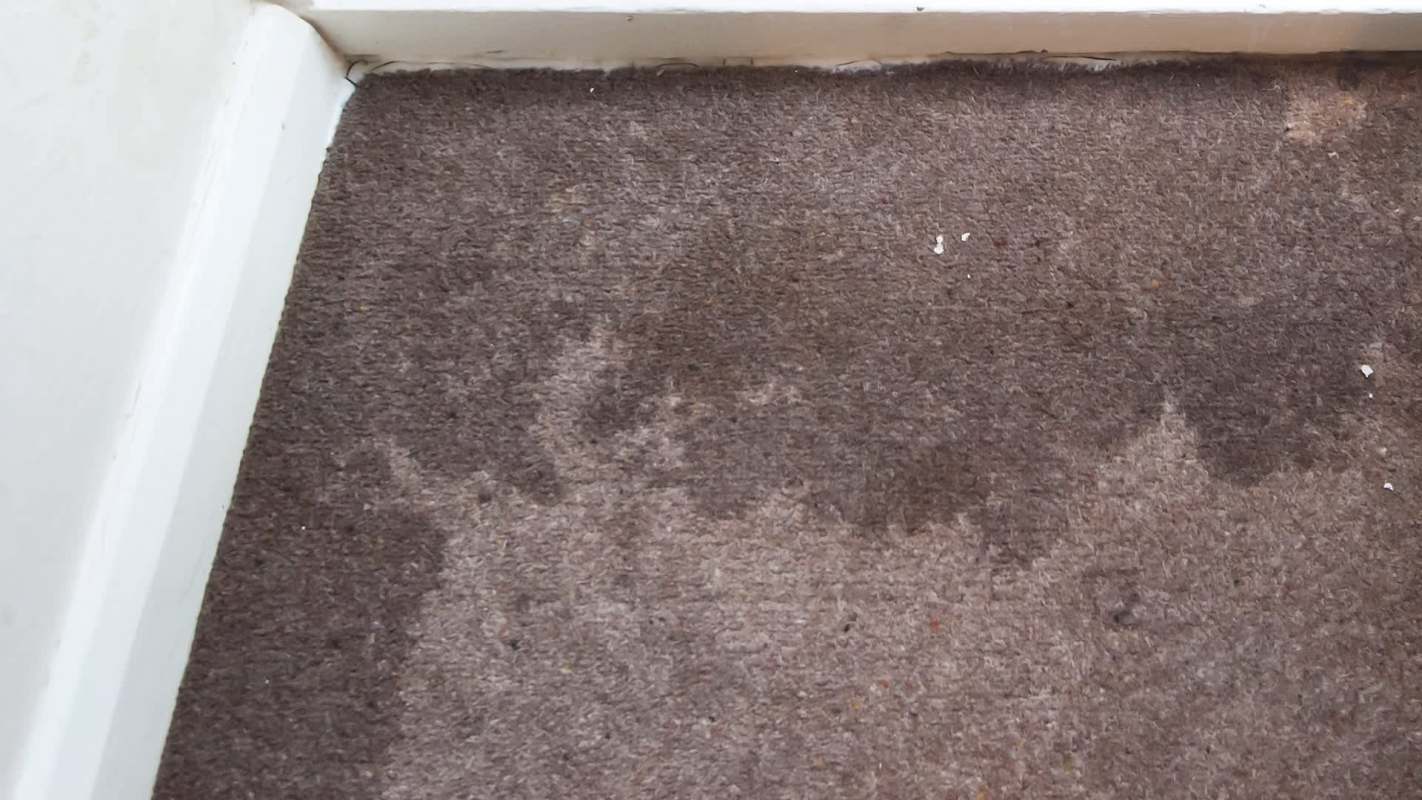 A damp patch and discoloration on a brown carpet near a white wall.
