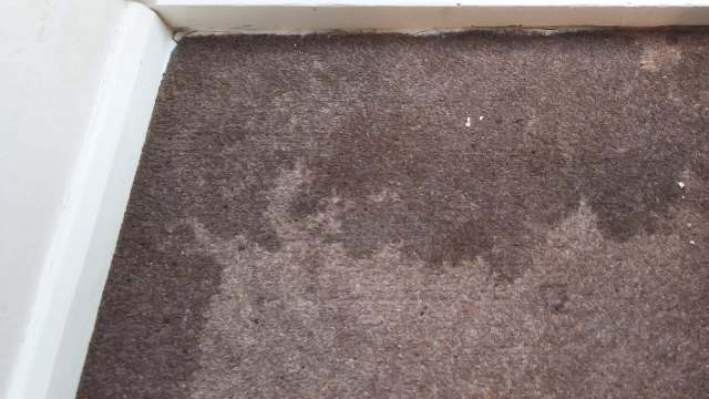 A damp patch and discoloration on a brown carpet near a white wall.
