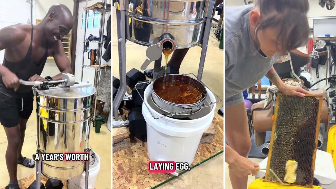 People extracting honey.