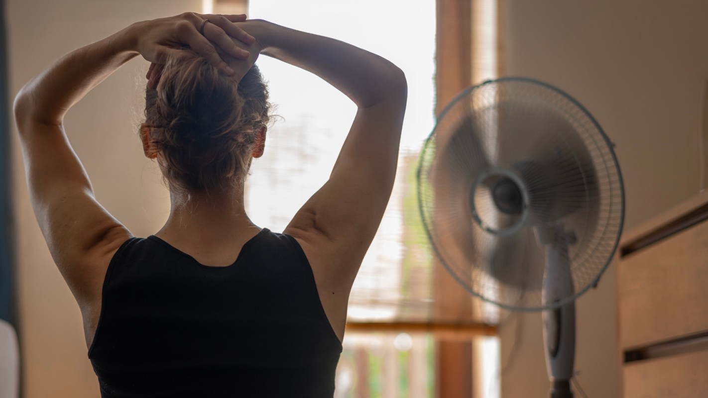 A person is sitting with their back to the camera, hair tied up, in front of a fan and sunlight streaming through a window.