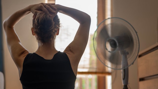 A person is sitting with their back to the camera, hair tied up, in front of a fan and sunlight streaming through a window.