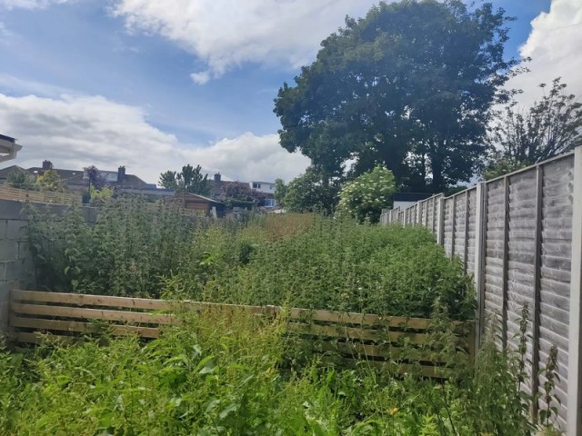 A densely overgrown garden with tall nettles and a wooden fence in the background under a partly cloudy sky.