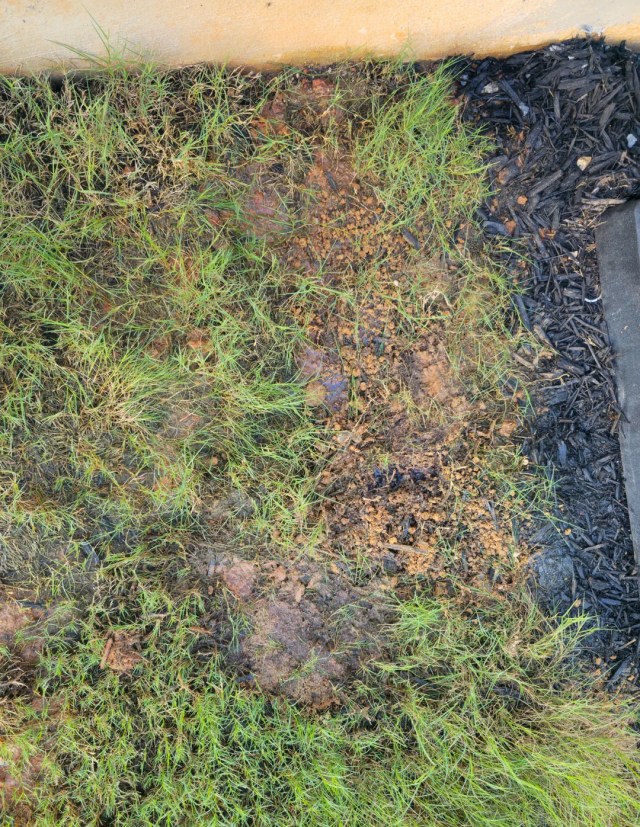 A damp patch of ground.