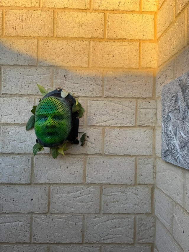 A radiation mask attacked to a wall with visible plant leaves growing from it.