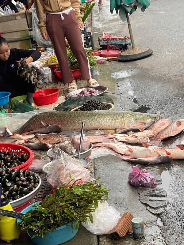 A variety of seafood displayed at a market stall, including an arapaima.