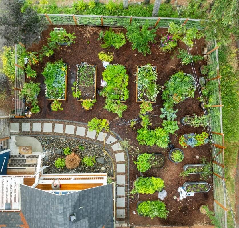 An overhead photo of the garden with the lawn completely replaced by a dirt flowerbed featuring multiple planters and species.