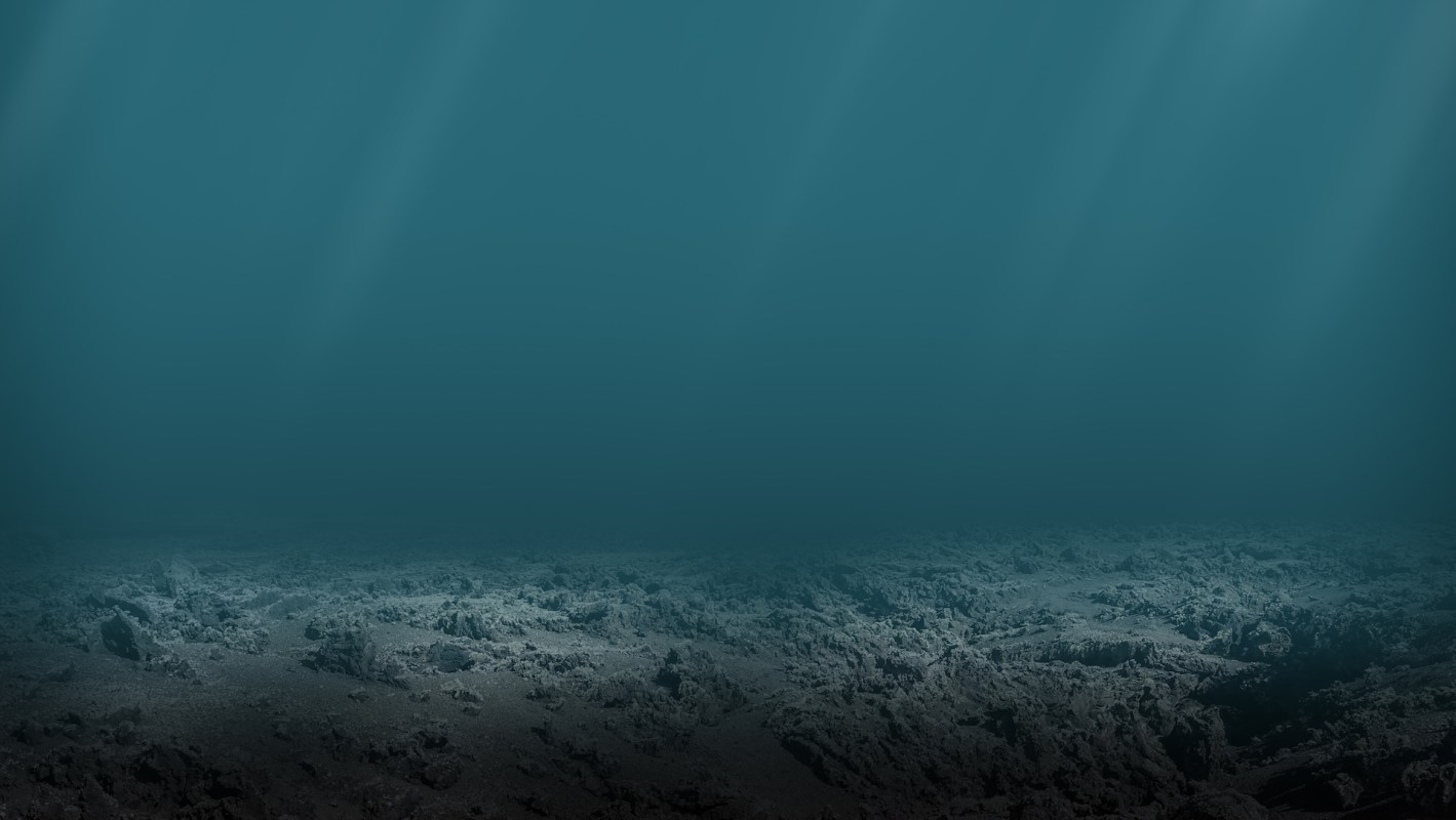 An underwater scene with a rocky seabed and dim lighting.