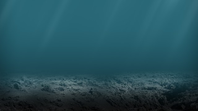 An underwater scene with a rocky seabed and dim lighting.