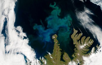A satellite view of colorful algae blooms in ocean water near rugged coastal land and cloud patterns.