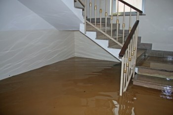 Water covers the floor of a staircase, with reflections visible on the surface and light walls surrounding it.