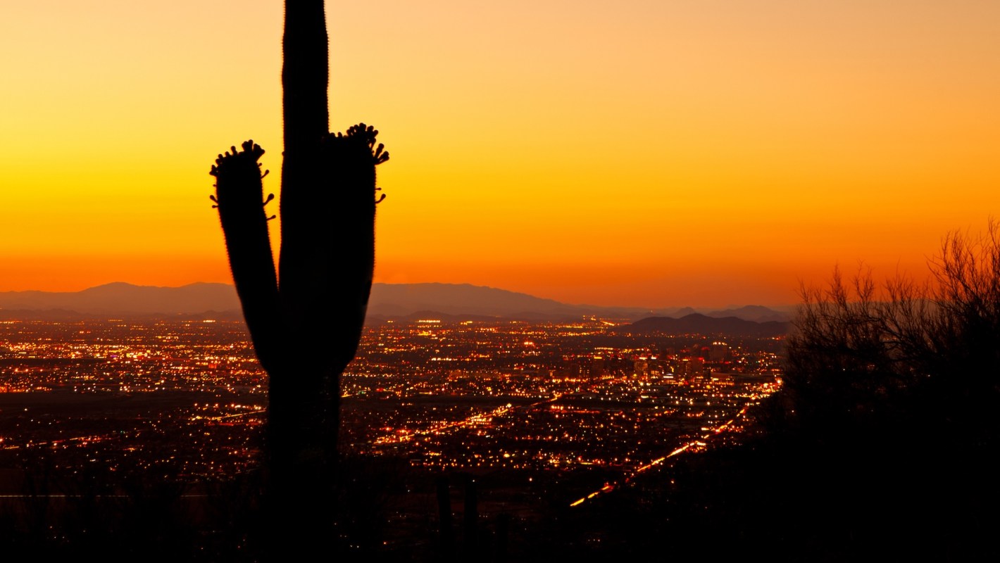 A silhouette of a cactus over Phoenix at sunset.