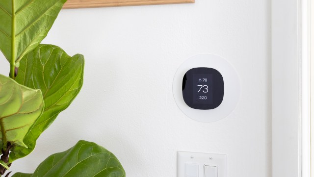 A digital thermostat mounted on a wall next to light switches and a green plant.