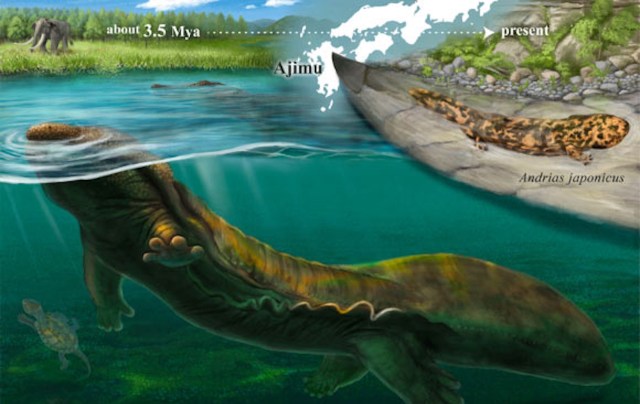 An ancient salamander next to a modern one.