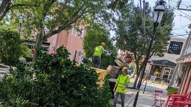 Workers in bright safety gear are clearing tree branches from a street lined with shops and green vegetation.