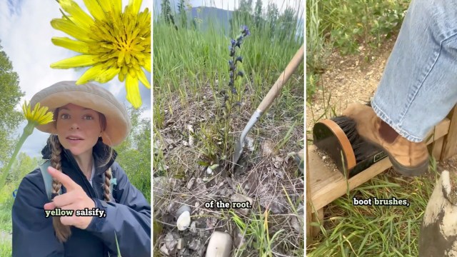 A person holds a yellow flower in a field, a plant with a shovel nearby, and a boot being brushed off.